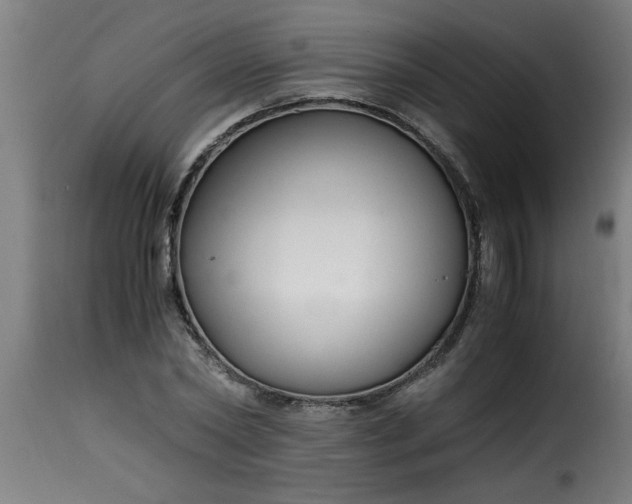 X0000115480782200911201839