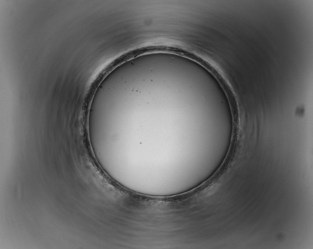 X0000115480783200911201839