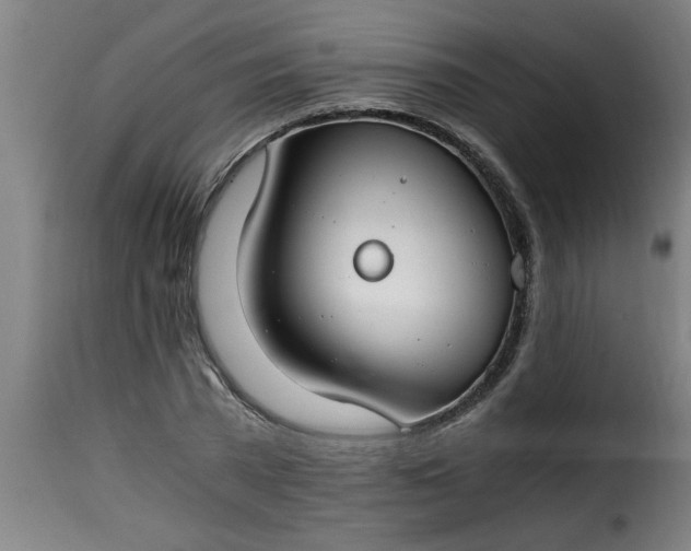 X0000115480785200911201839