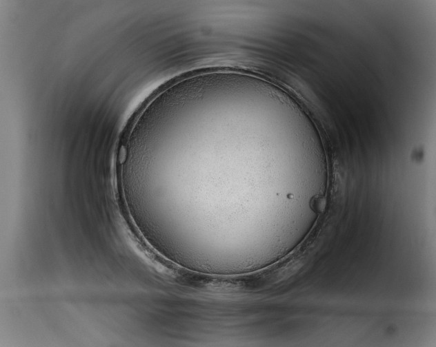 X0000115480788200911201838