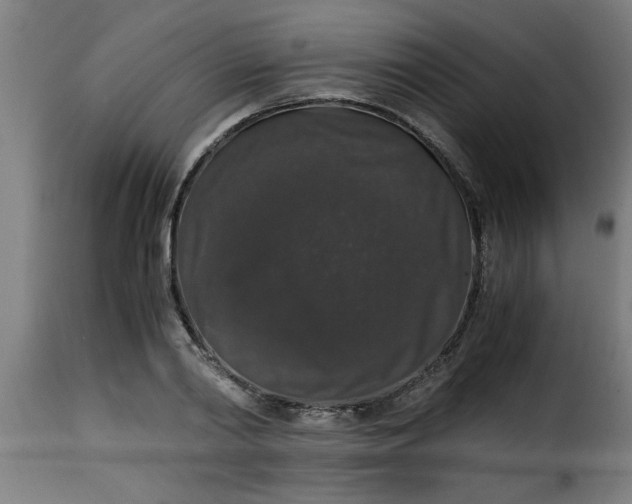 X0000115480790200911201838