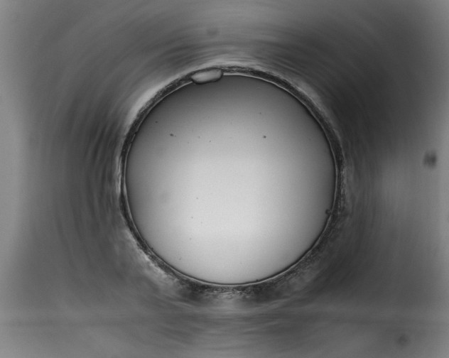 X0000115480791200911201838