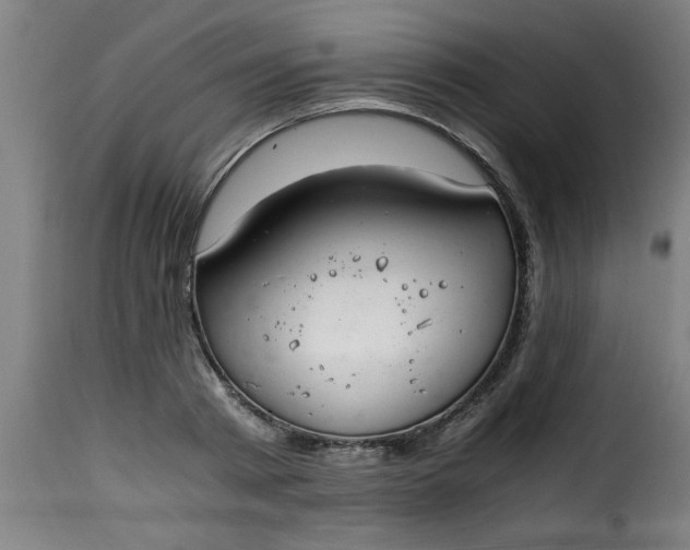 X0000115480793200911201838