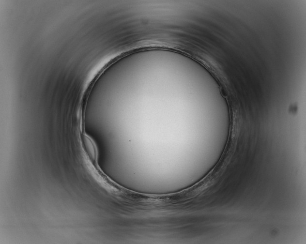 X0000115480796200911201838