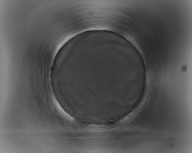 X0000115480797200911201838