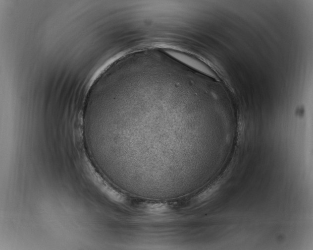 X0000115480798200911201838