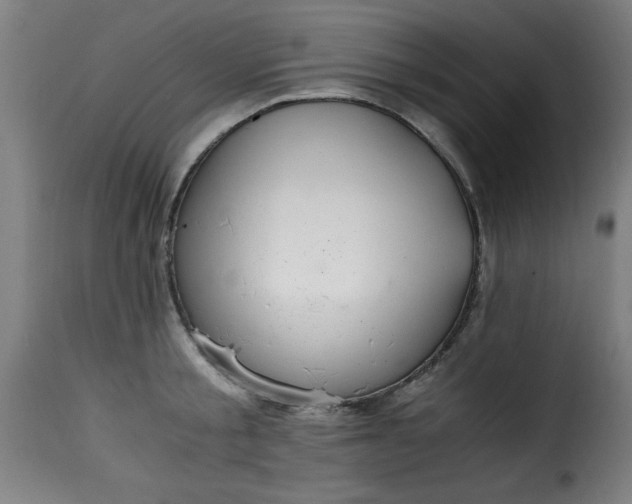 X0000115480805200911201838