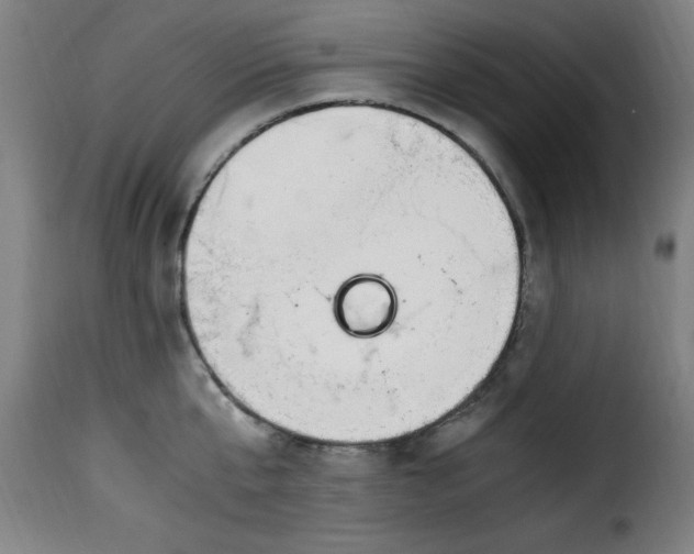 X0000115480807200911201838