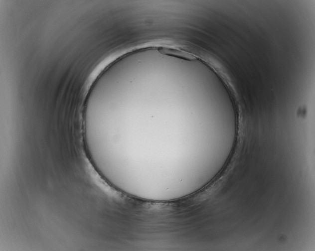 X0000115480808200911201838