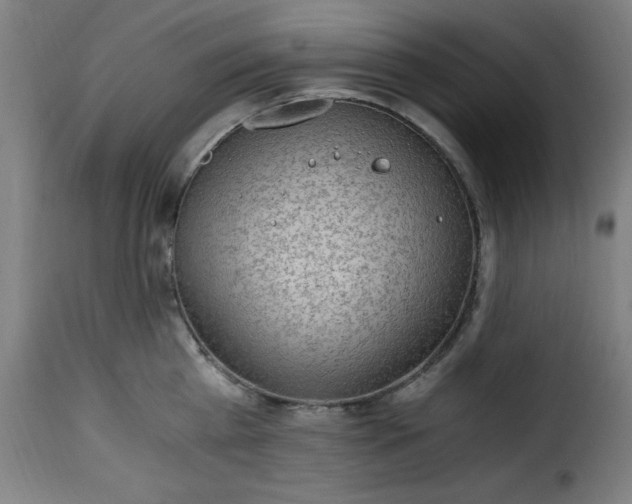 X0000115480809200911201838