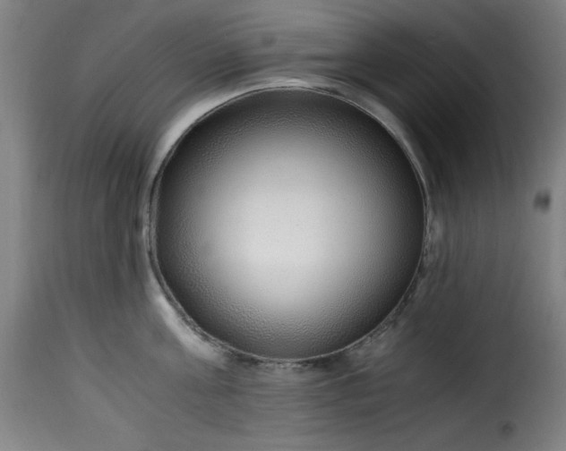 X0000115480811200911201838