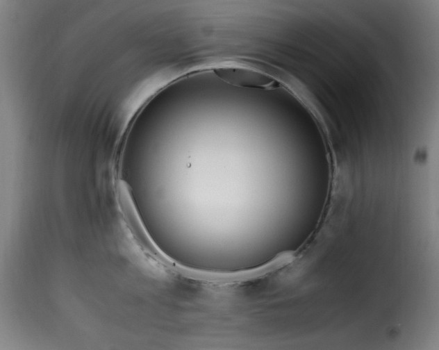 X0000115480813200911201838