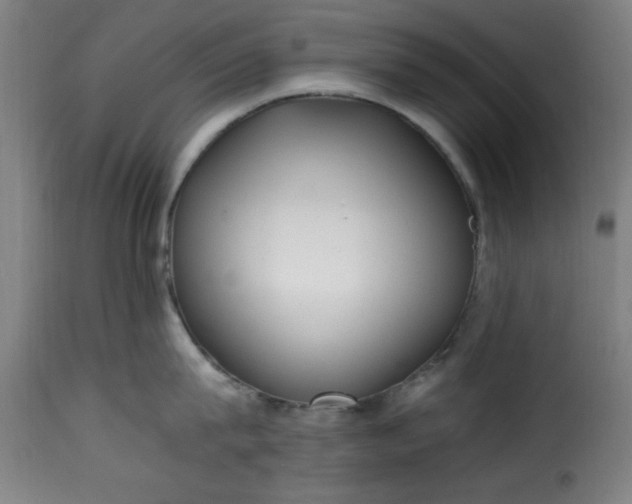 X0000115480815200911201838