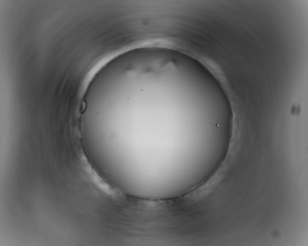 X0000115480816200911201838