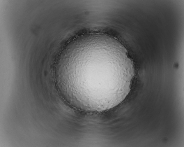 X0000115480817200911201837