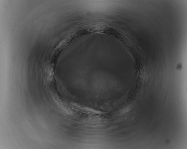 X0000115480818200911201837