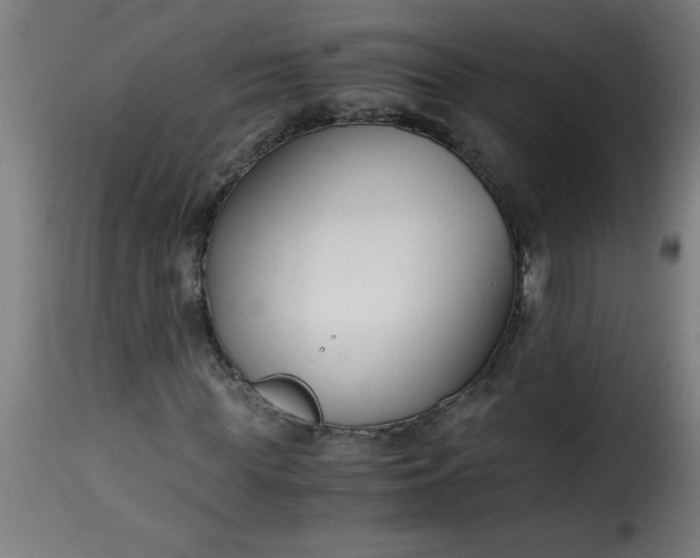 X0000115480819200911201837