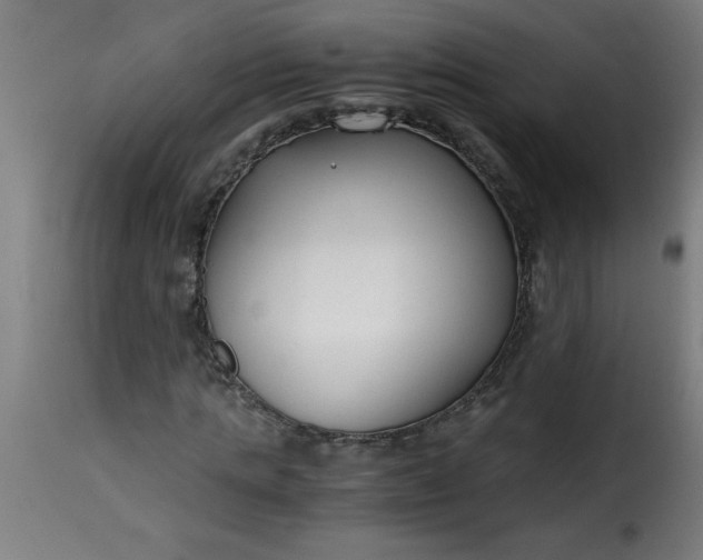 X0000115480821200911201838