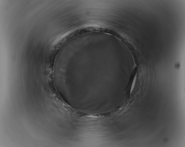 X0000115480822200911201838