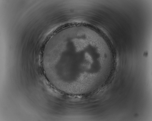 X0000115480823200911201838