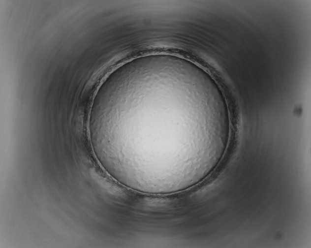 X0000115480825200911201838