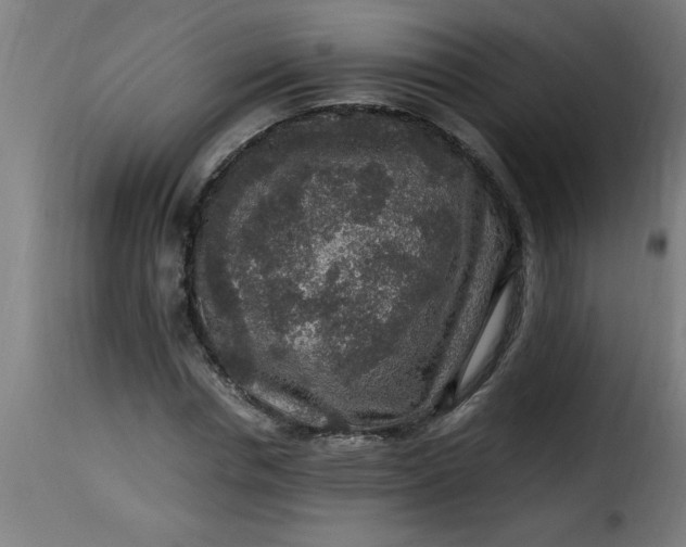 X0000115480826200911201838