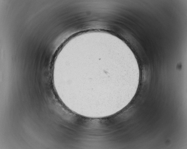 X0000115480828200911201838