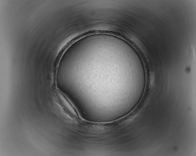 X0000115480829200911201838