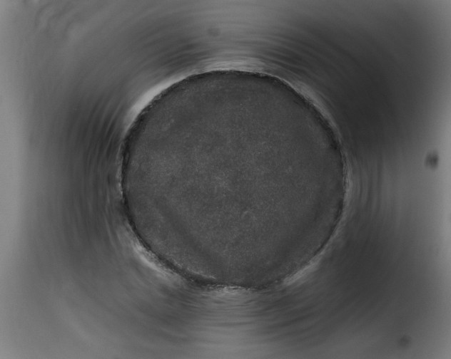 X0000115480830200911201838