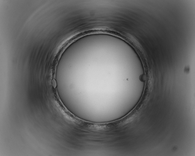 X0000115480831200911201838