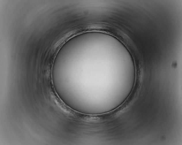 X0000115480833200911201838