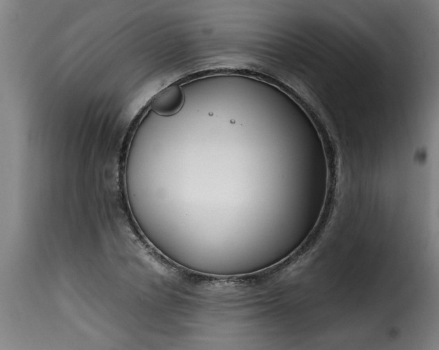 X0000115480834200911201838