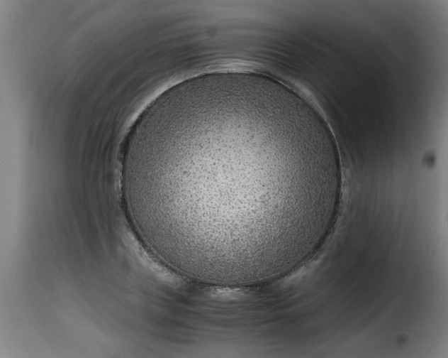 X0000115480835200911201838