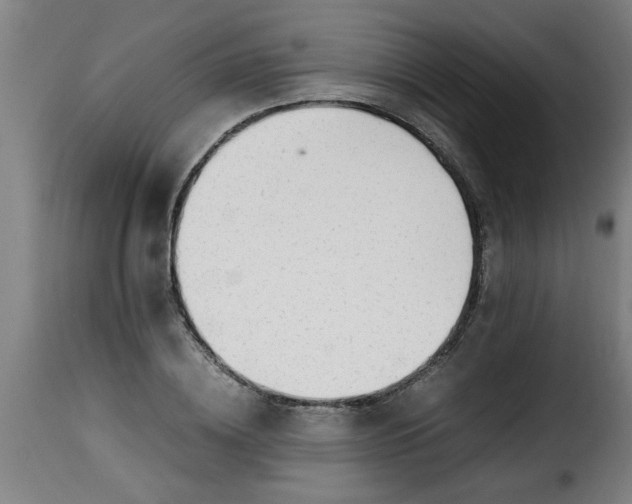 X0000115480836200911201838