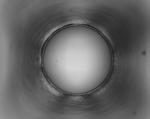 X0000115480837200911201838