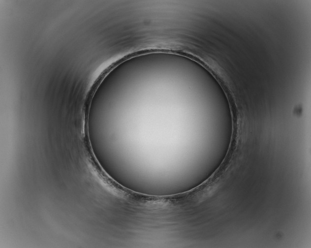 X0000115480838200911201838