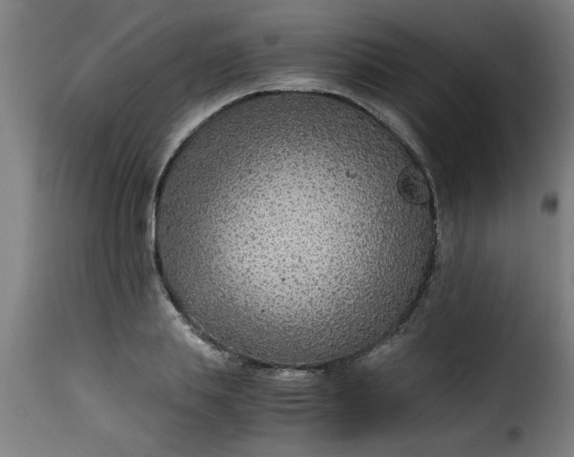 X0000115480839200911201838