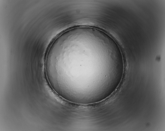 X0000115480840200911201838