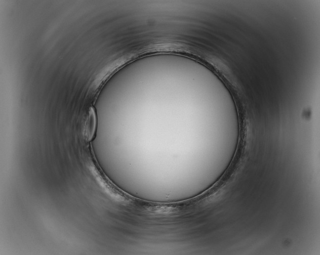 X0000115480841200911201838