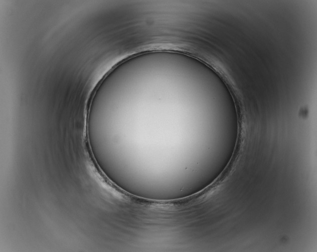 X0000115480844200911201838