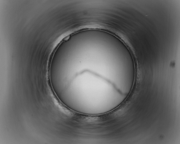 X0000115480845200911201838