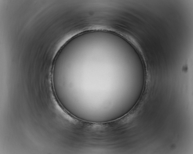 X0000115480847200911201838