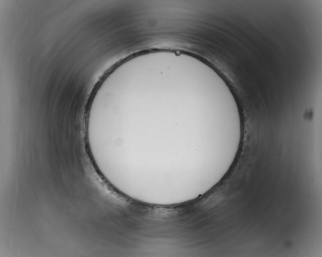 X0000115480848200911201838