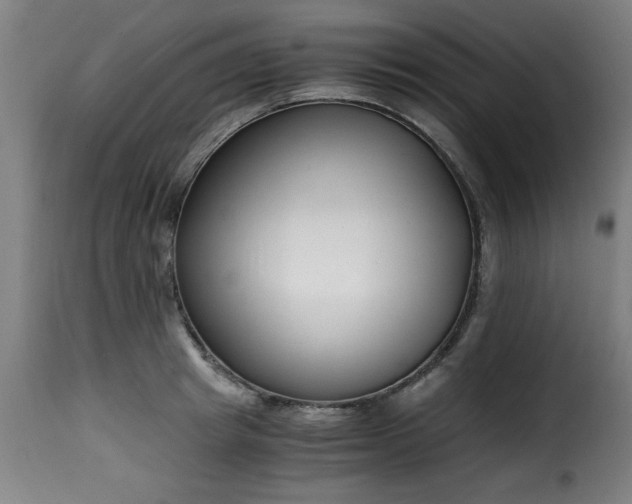 X0000115480849200911201838