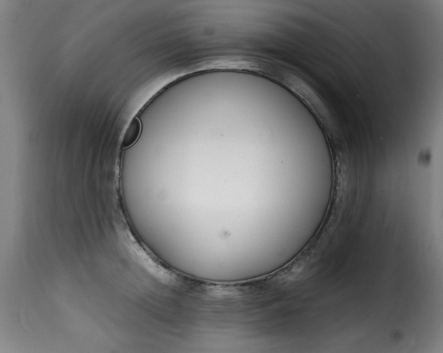 X0000115480852200911201838