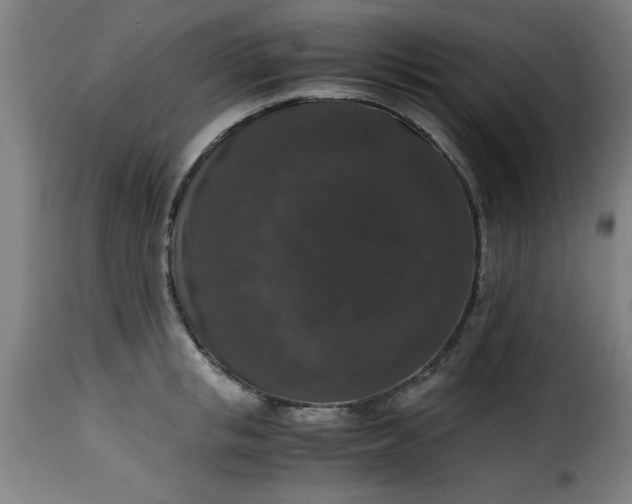 X0000115480853200911201838