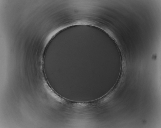 X0000115480854200911201838