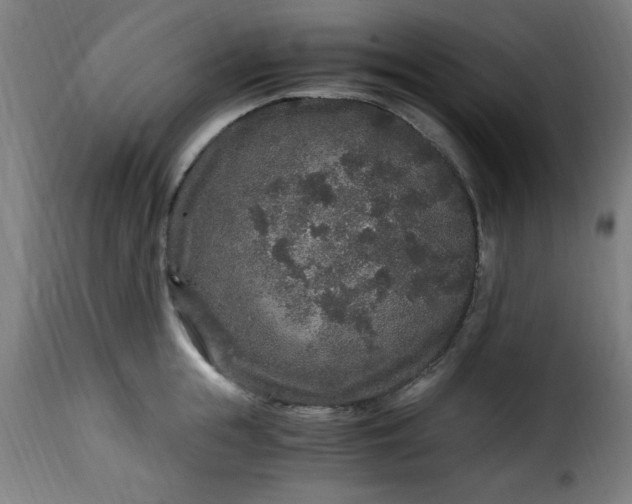 X0000115480855200911201838