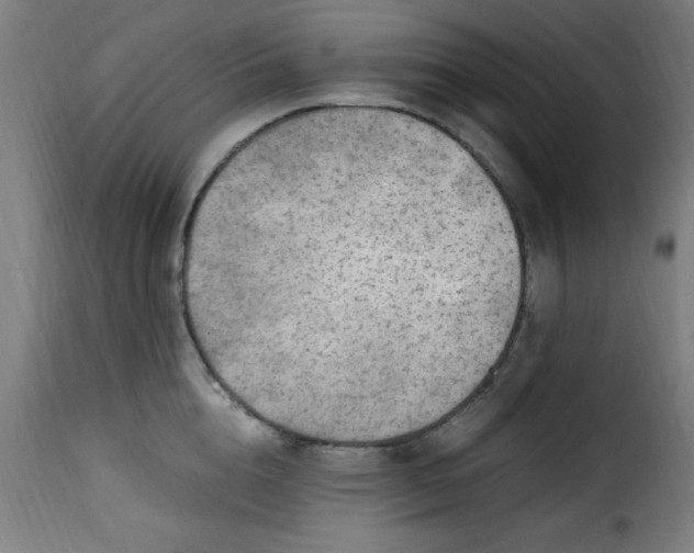 X0000115480856200911201838