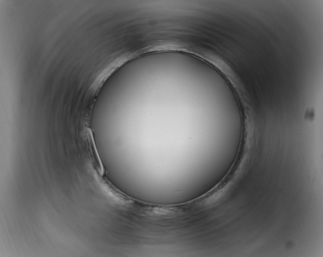 X0000115480857200911201838